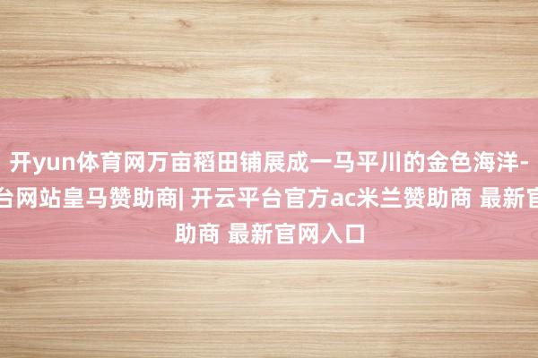 开yun体育网万亩稻田铺展成一马平川的金色海洋-开云平台网站皇马赞助商| 开云平台官方ac米兰赞助商 最新官网入口
