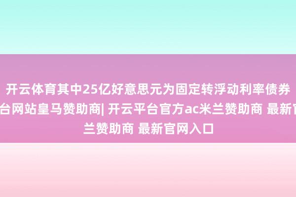 开云体育其中25亿好意思元为固定转浮动利率债券-开云平台网站皇马赞助商| 开云平台官方ac米兰赞助商 最新官网入口