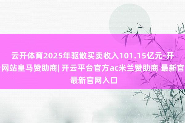 云开体育2025年驱散买卖收入101.15亿元-开云平台网站皇马赞助商| 开云平台官方ac米兰赞助商 最新官网入口